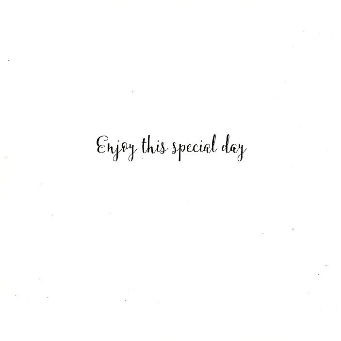 To A Wonderful Nanny Dalmatian Dog Foiled Mother's Day Card