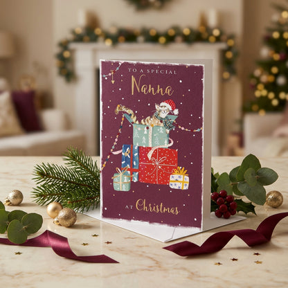 To A Special Nanna Christmas Greeting Card