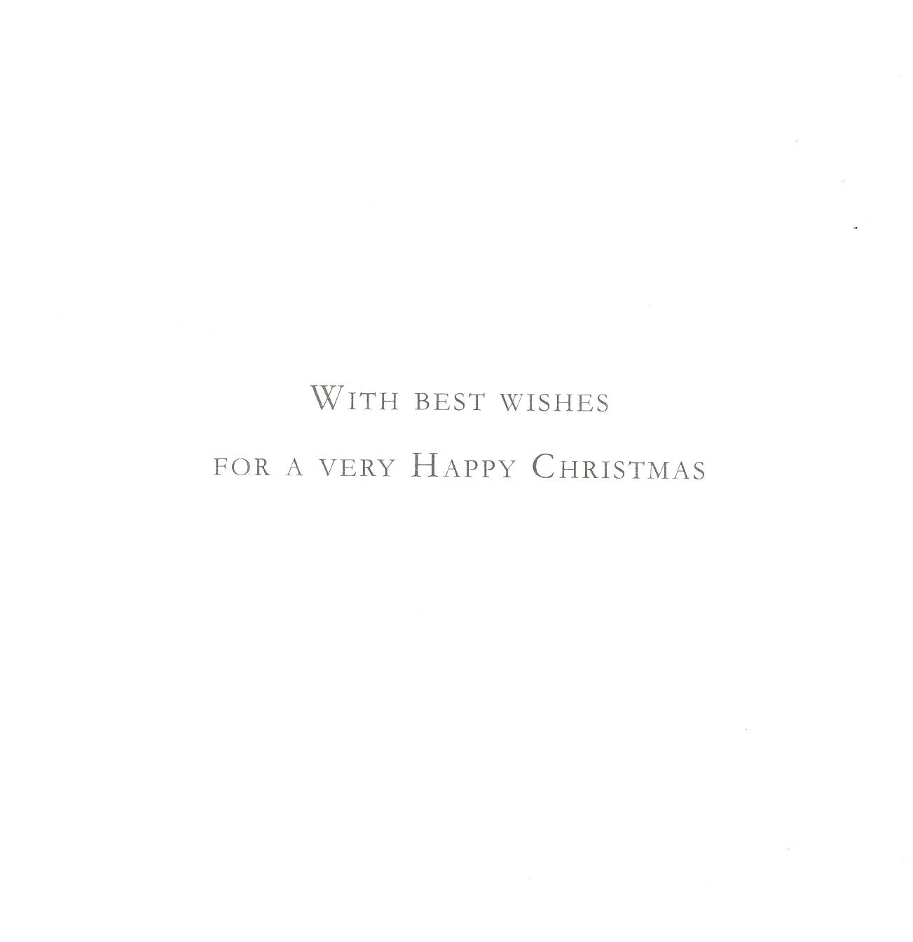 Box of 10 Furry Christmas Helper Gold Foiled Christmas Cards