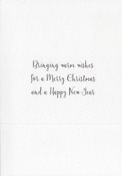 The Wildlife Special Granny Christmas Cat Christmas Card