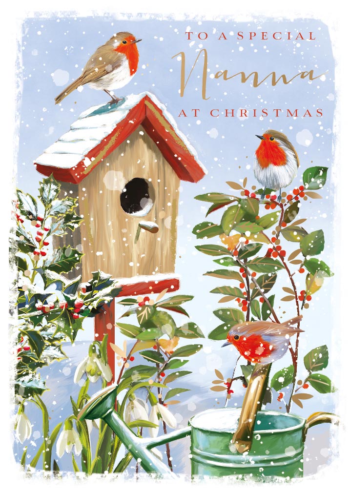 A Special Nanna At Christmas Festive Robin Christmas Card