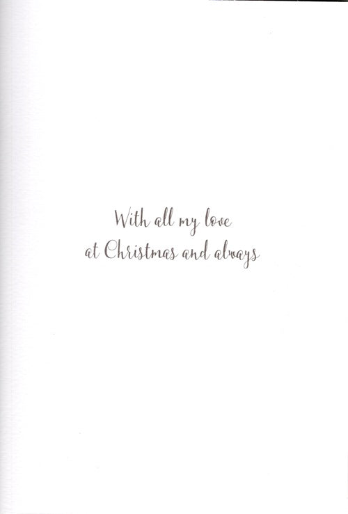 The Wildlife Very Special Partner Penguin Pals Artistic Christmas Greeting Card