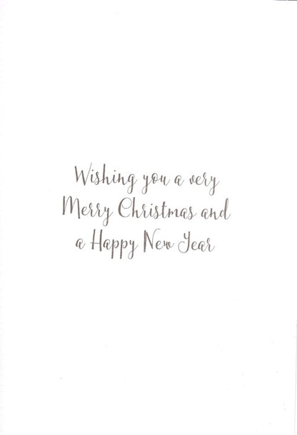 The Wildlife Lovely Nan Cat Purrfectly Festive Artistic Christmas Greeting Card