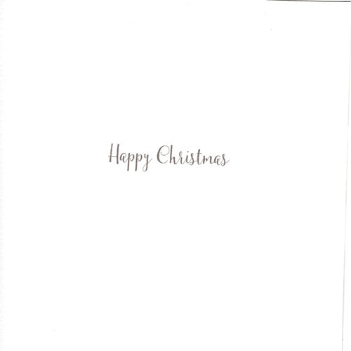 The Wildlife Happy Christmas Hamster Claus Artistic Single Christmas Card