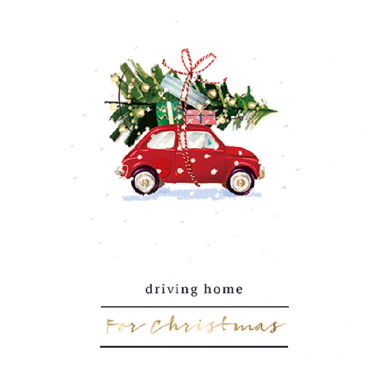 Box of 8 Christmas At Home Curious Inksmith Christmas Cards