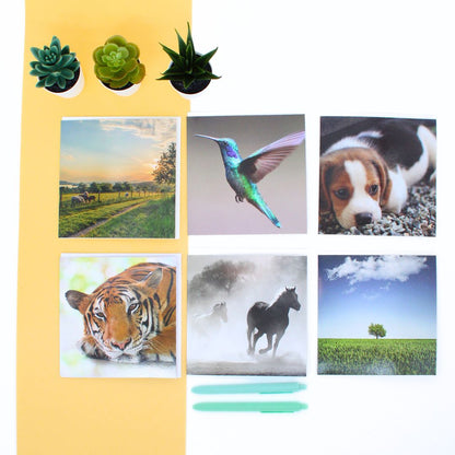 CARD 'N' MIX Gallery Assortment 6 Card Potluck Pick Cards for Every Occasion