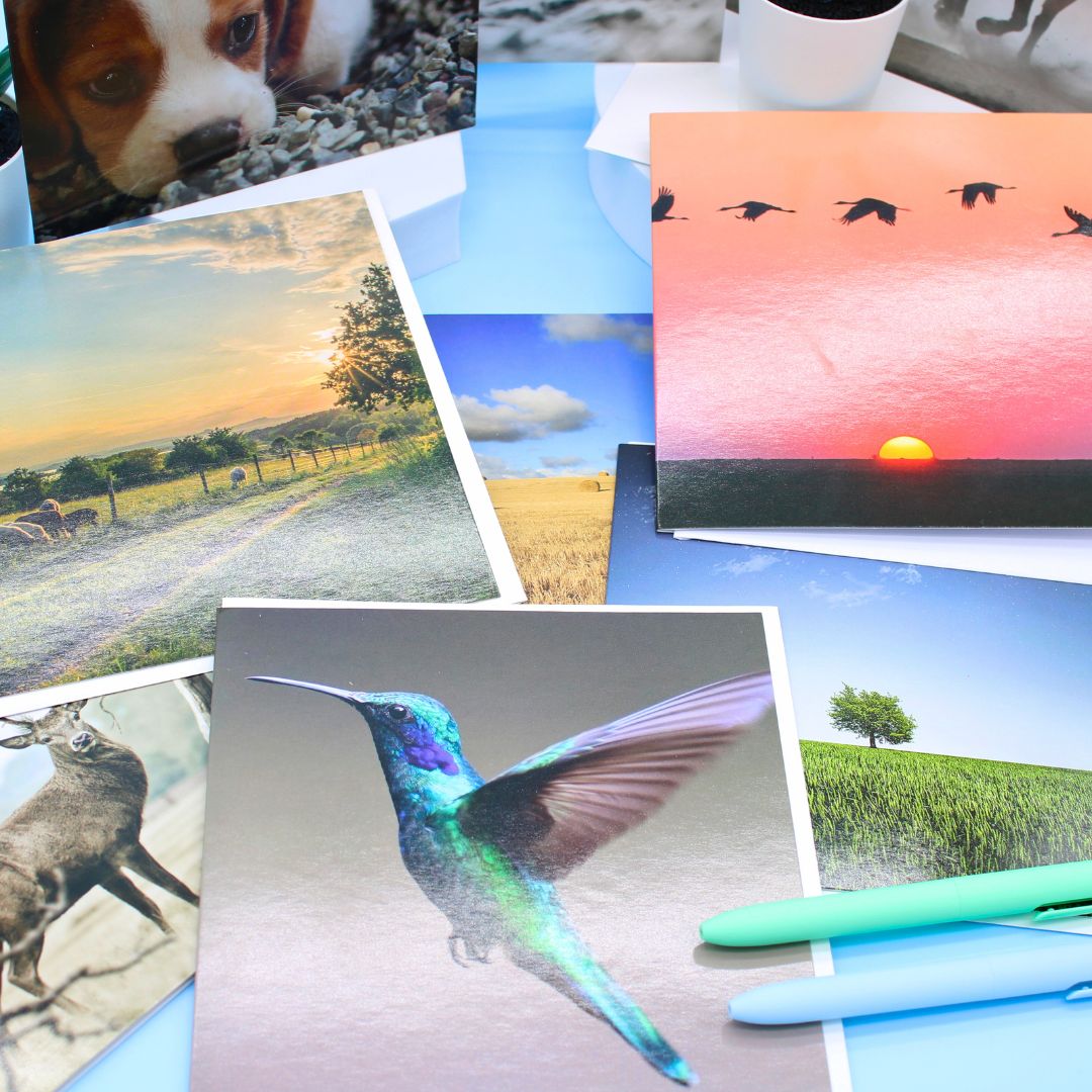 CARD 'N' MIX Gallery Assortment 6 Card Potluck Pick Cards for Every Occasion