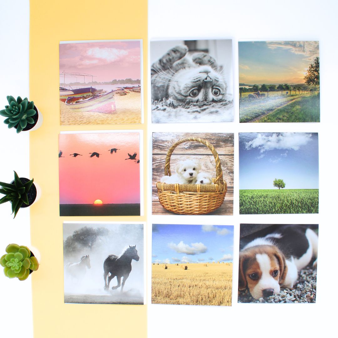 CARD 'N' MIX Gallery Assortment 6 Card Potluck Pick Cards for Every Occasion