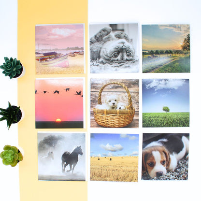 CARD 'N' MIX Gallery Assortment 6 Card Potluck Pick Cards for Every Occasion