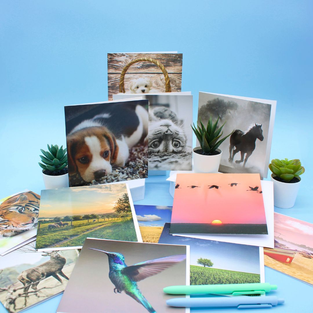 CARD 'N' MIX Gallery Assortment 6 Card Potluck Pick Cards for Every Occasion