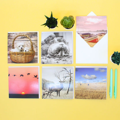 CARD 'N' MIX Gallery Assortment 6 Card Potluck Pick Cards for Every Occasion