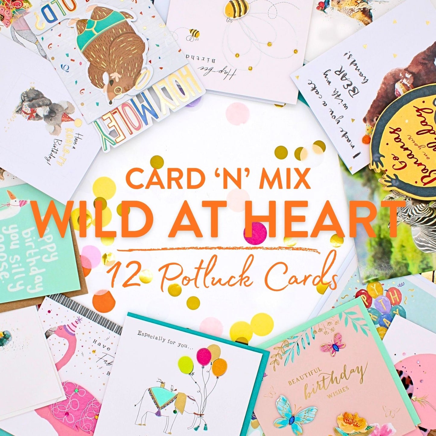 CARD'N'MIX Birthday Card Multipack Wild At Heart Variety Set 12 Card Assortment