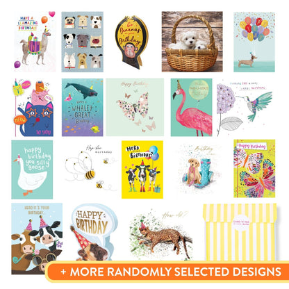 CARD'N'MIX Birthday Card Multipack Wild At Heart Variety Set 12 Card Assortment