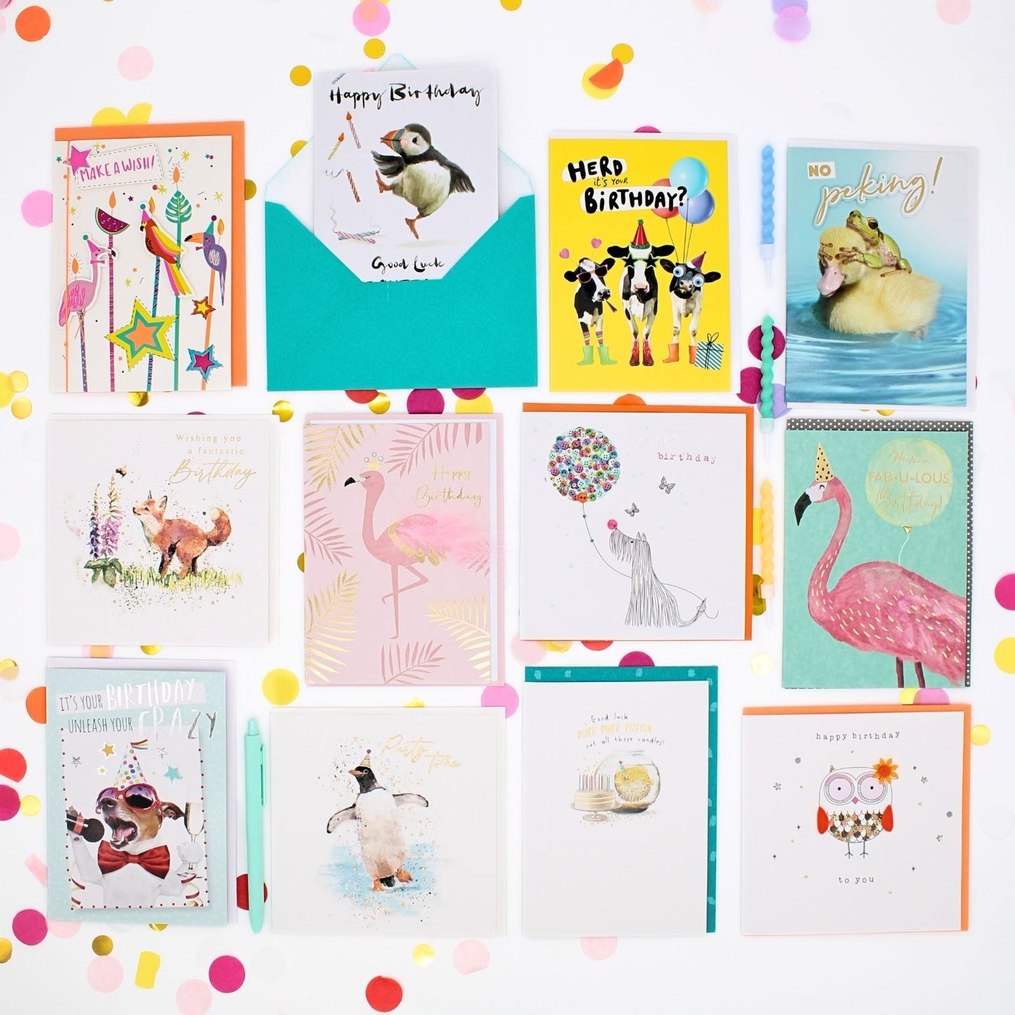 CARD'N'MIX Birthday Card Multipack Wild At Heart Variety Set 12 Card Assortment