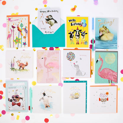 CARD'N'MIX Birthday Card Multipack Wild At Heart Variety Set 12 Card Assortment