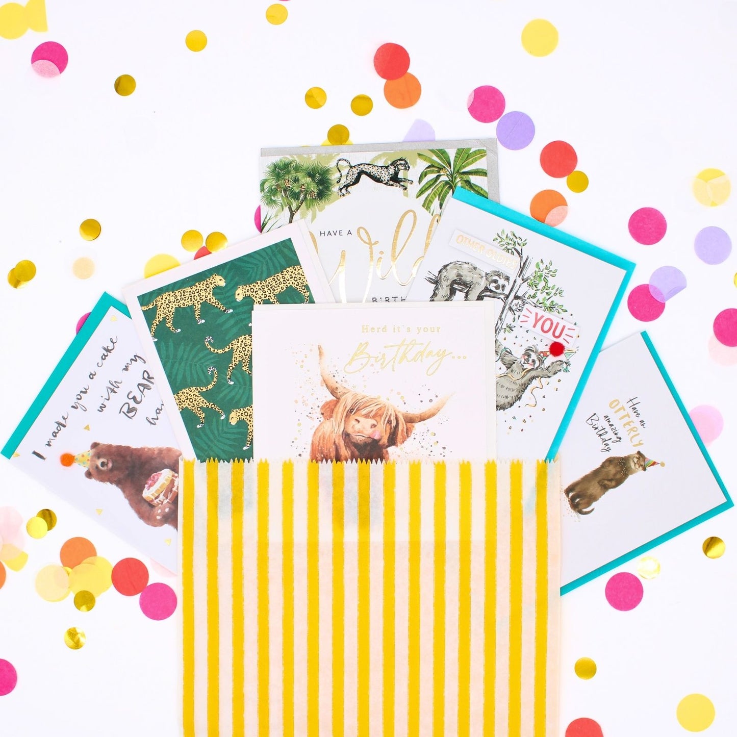 CARD'N'MIX Birthday Card Multipack Wild At Heart Variety Set 12 Card Assortment