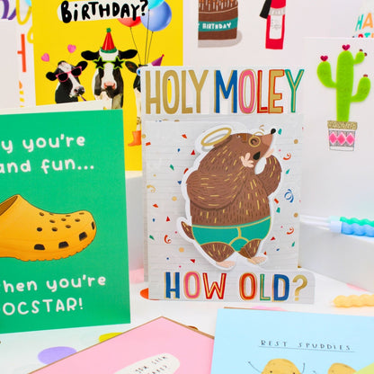 CARD'N'MIX Birthday Card Multipack Pun Lover Variety Set 12 Card Assortment
