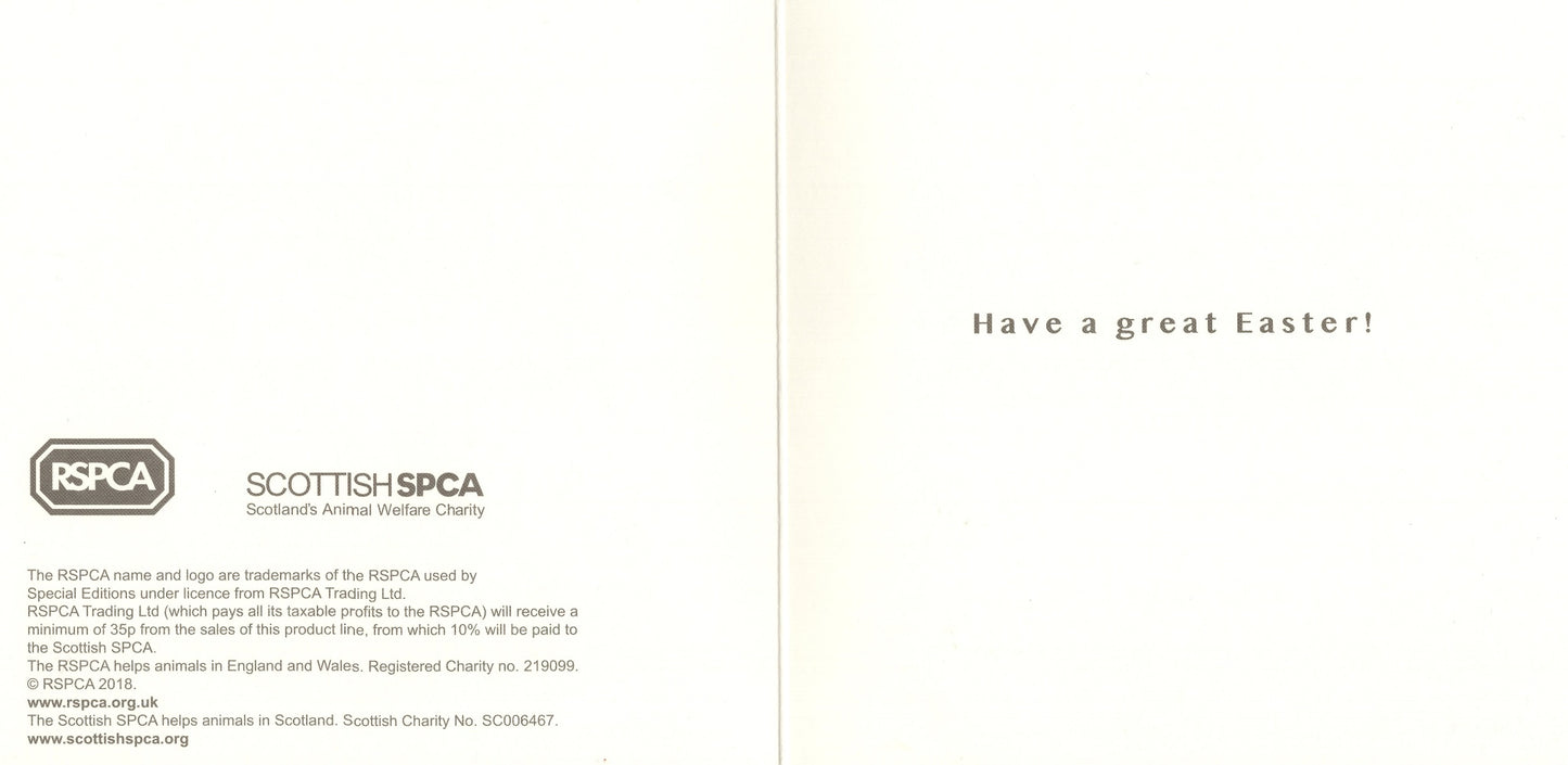 Pack of 6 RSPCA Charity Easter Greeting Cards