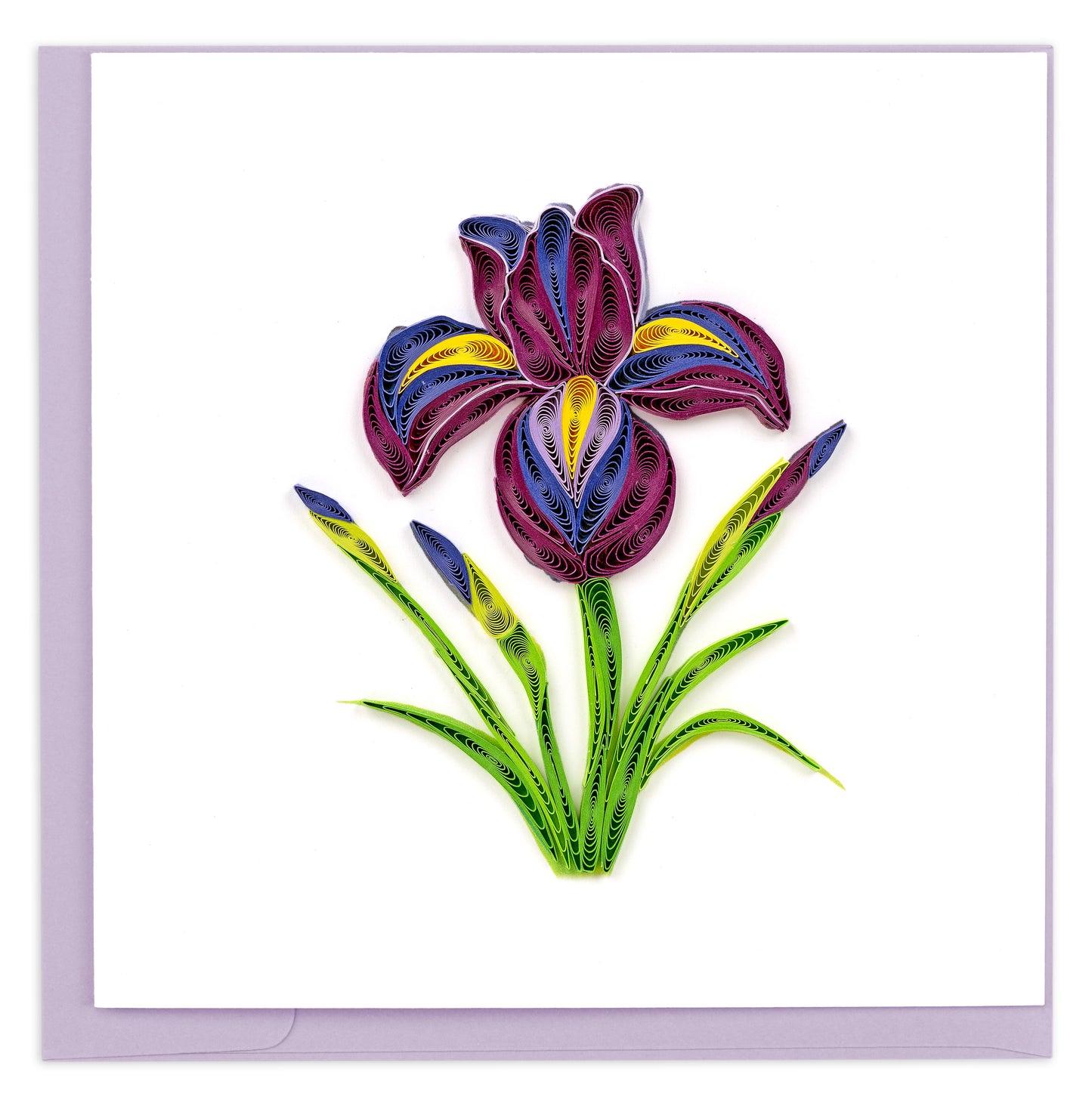 Quilling Purple Iris Flower Purple Petal Power! Hand-Finished Art Greeting Card