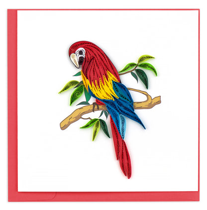 Quilling Bright Perched Parrot Chirpy Friend Hand-Finished Art Greeting Card