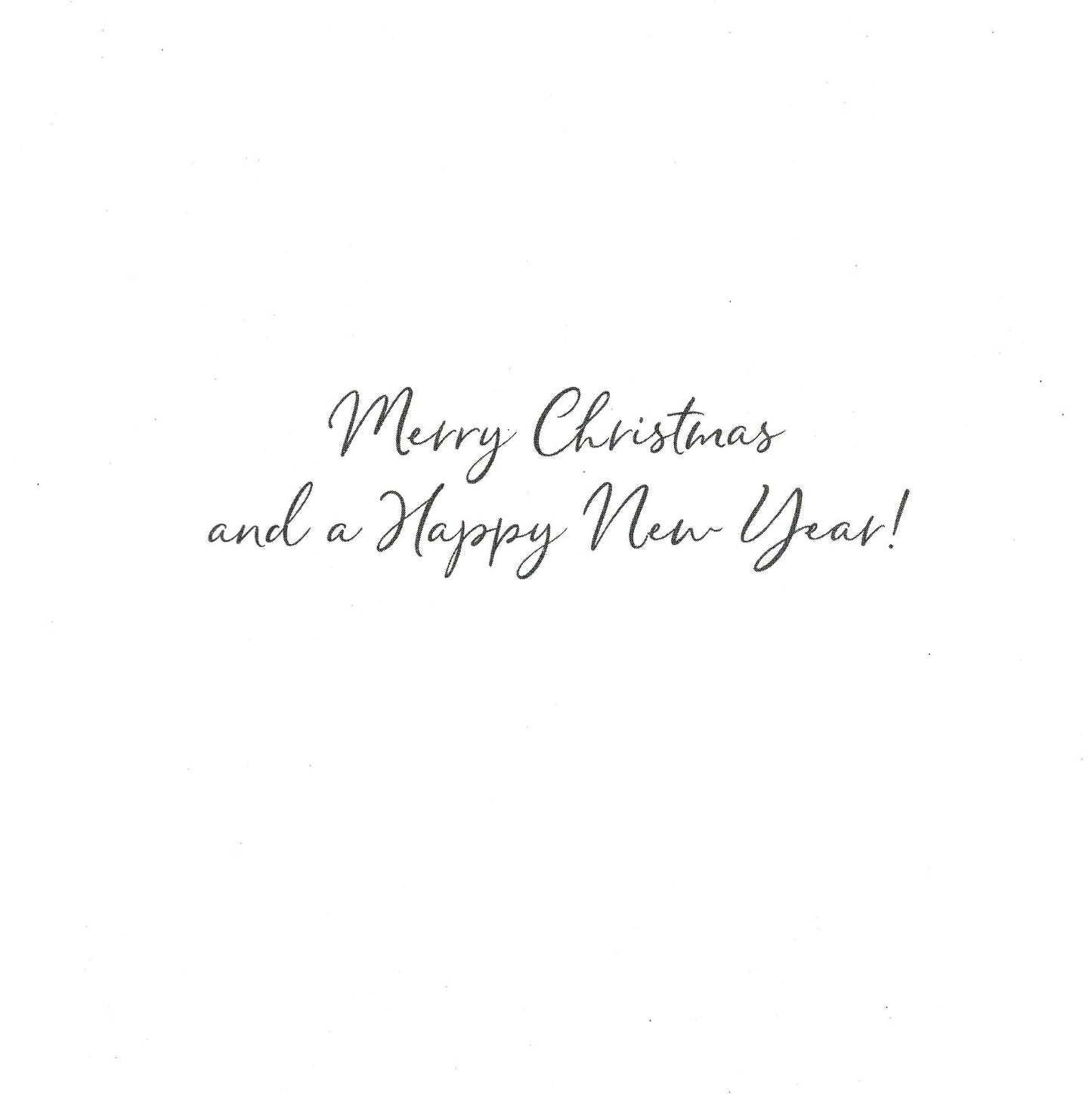 Box of 5 Festive Stag & Fox Hand-Finished Christmas Cards