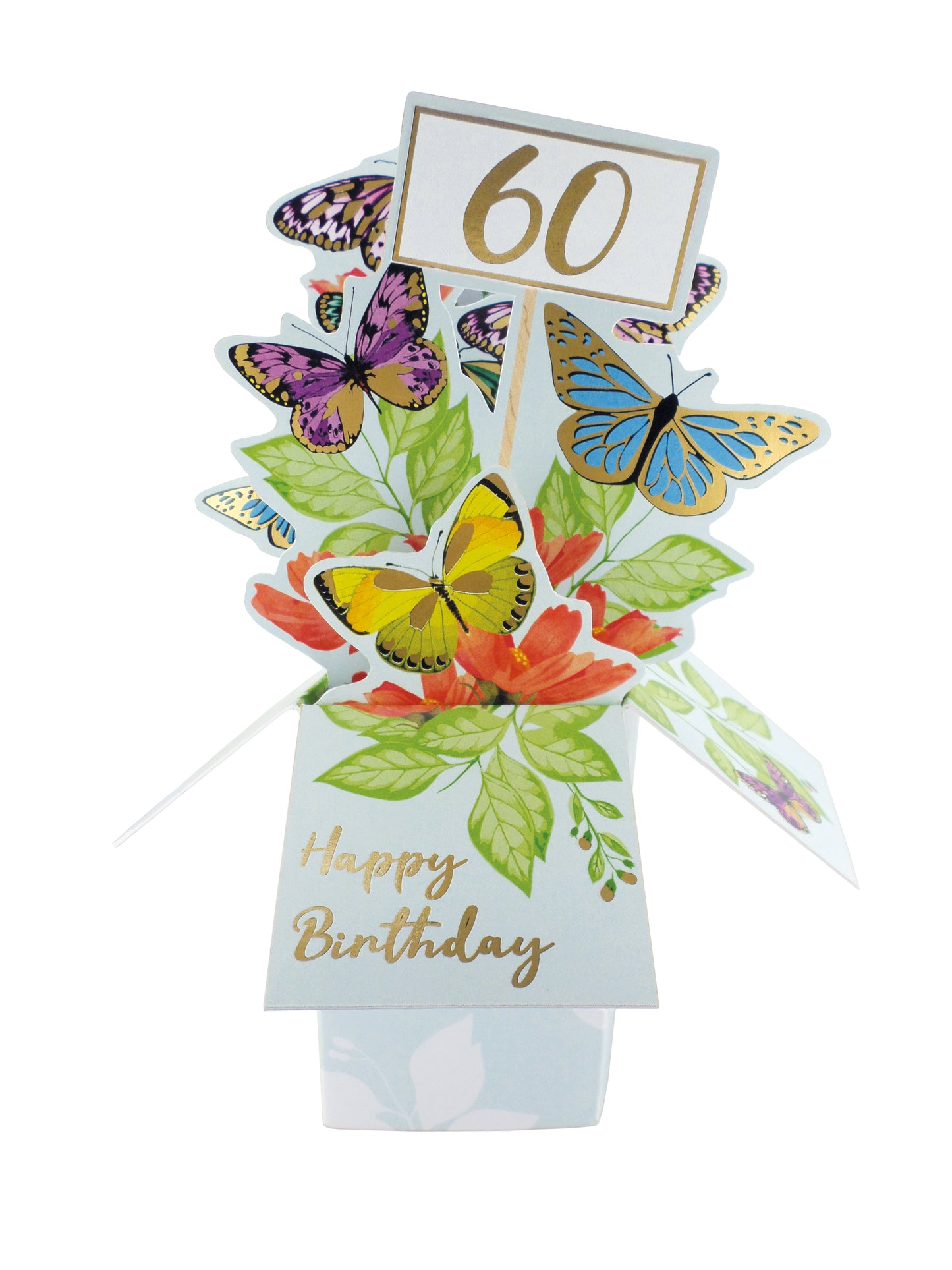 Clever Cube 60th Birthday Butterfly Bonanza! Birthday Pop Up Greeting Card