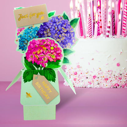 Clever Cube Just For You Hydra-Happy Birthday! Pop Up Greeting Card