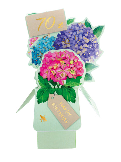 Clever Cube 70th Birthday For Her Happy 70th! Birthday Pop Up Greeting Card