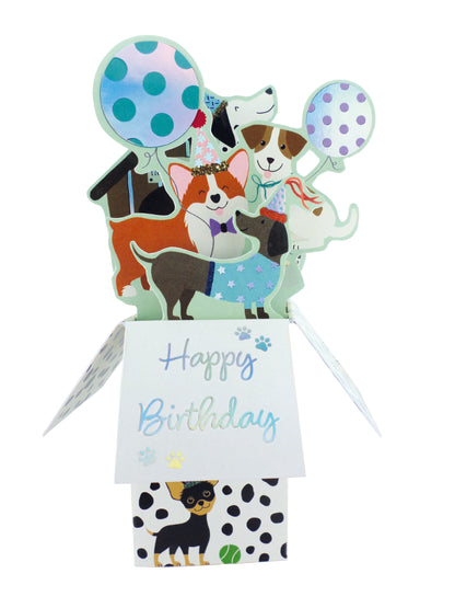 Clever Cube Happy Birthday Pawty Pups Birthday Pop Up Greeting Card