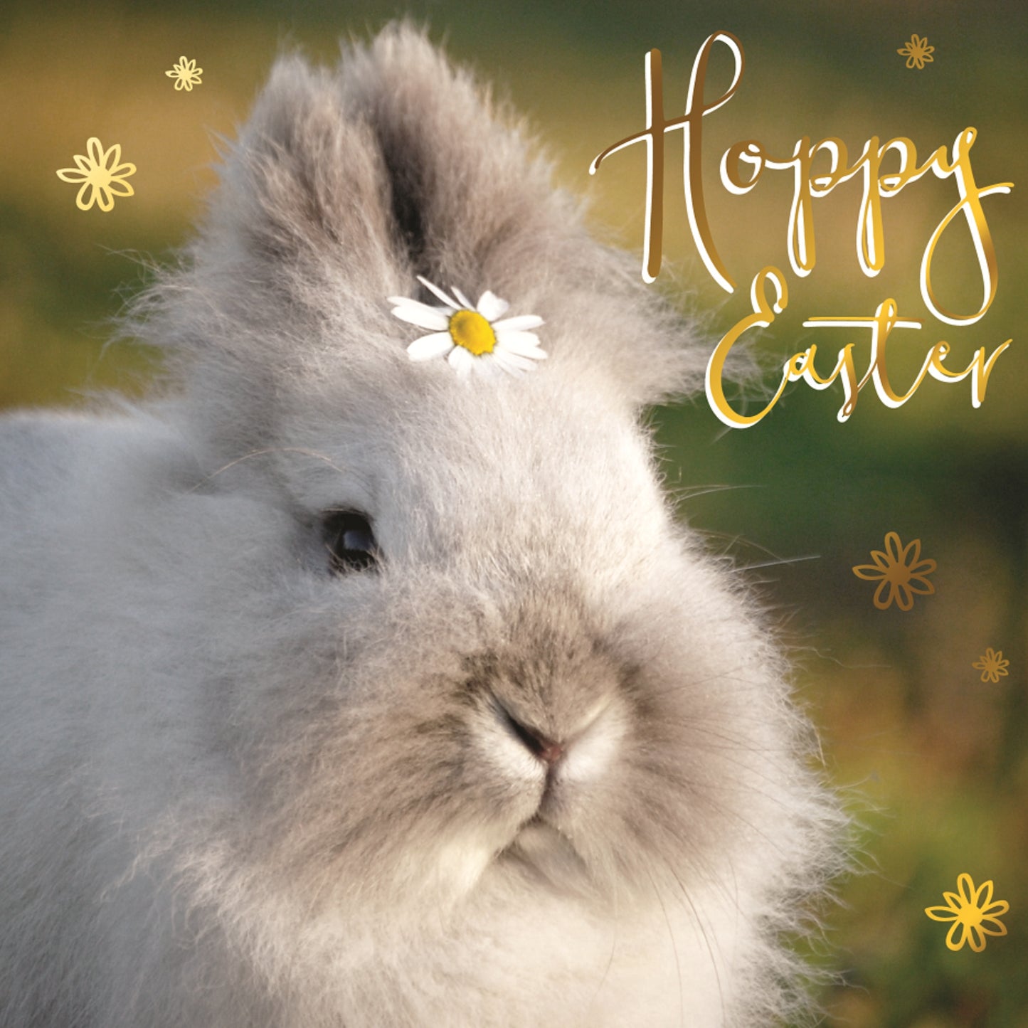 Cute Bunny Wearing A Daisy Photographic Easter Greeting Card