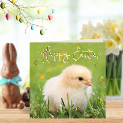 Happy Easter Cute Chick Photographic Easter Greeting Card