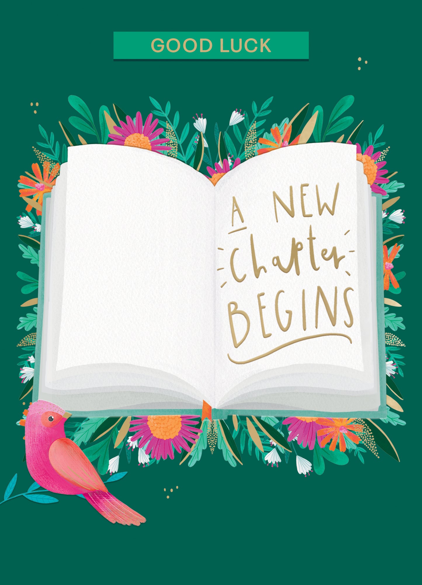 Good Luck A New Chapter Magical Adventures Await! Good Luck Greeting Card