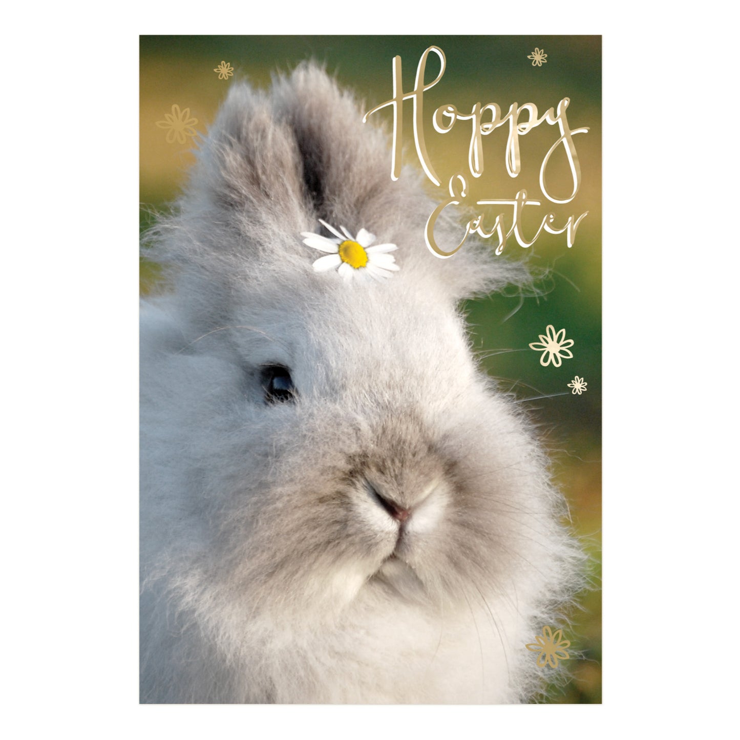 Pack of 5 Hoppy Easter Hospice UK Charity Fluffy Bunny Easter Cards