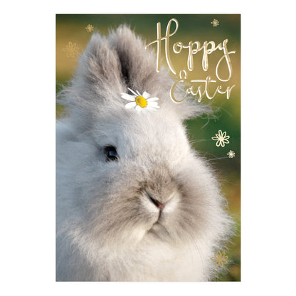 Pack of 5 Hoppy Easter Hospice UK Charity Fluffy Bunny Easter Cards