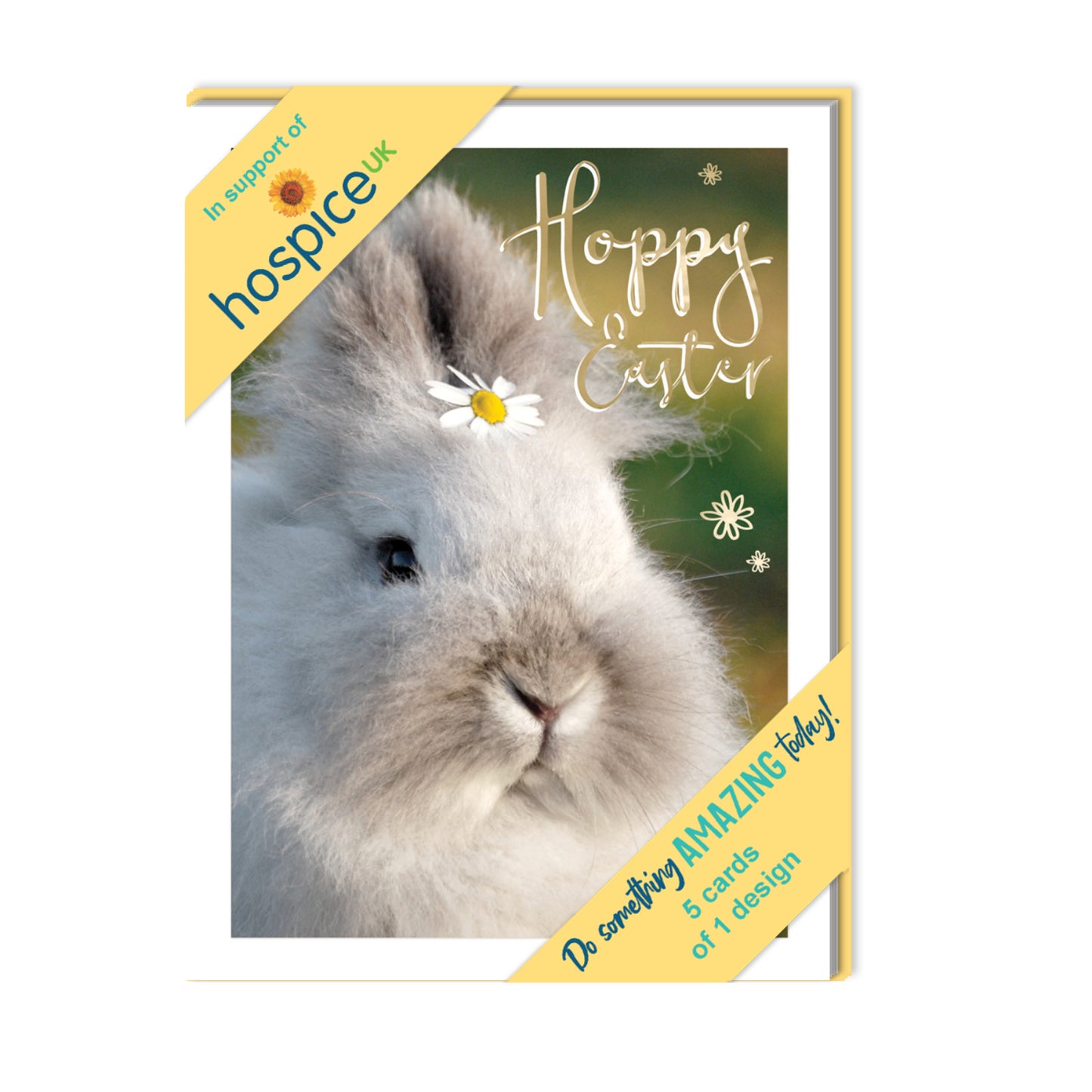 Pack of 5 Hoppy Easter Hospice UK Charity Fluffy Bunny Easter Cards
