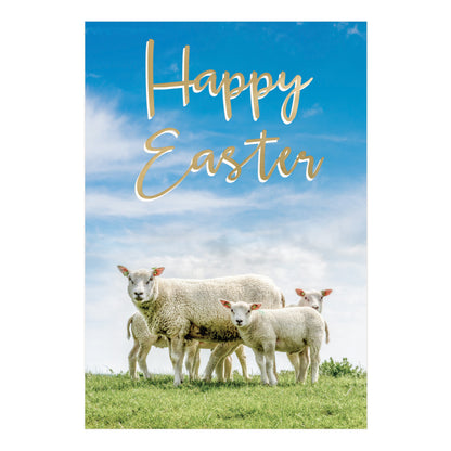 Pack of 5 Happy Easter Hospice UK Charity Spring Lambs Easter Cards
