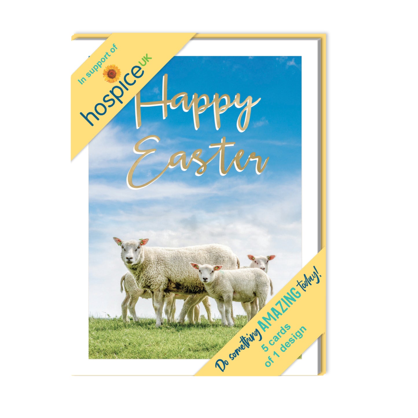 Pack of 5 Happy Easter Hospice UK Charity Spring Lambs Easter Cards