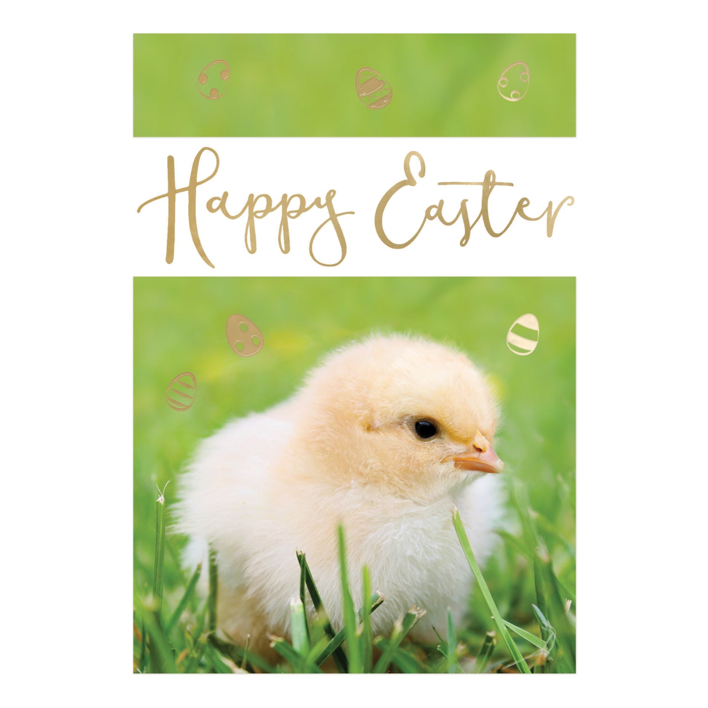 Pack of 5 Happy Easter Hospice UK Charity Cute Fluffy Chick Easter Cards