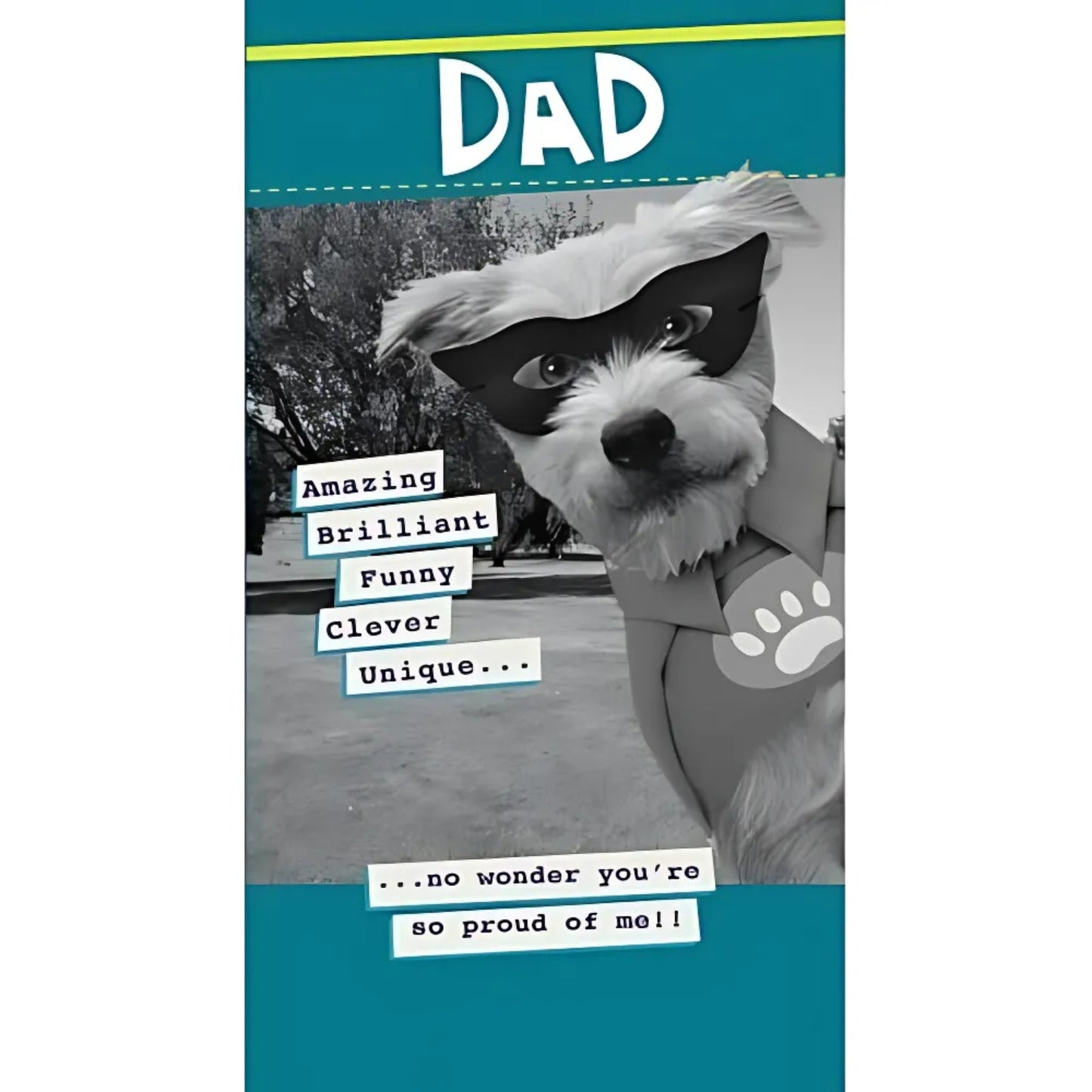 Dad Amazing & Brilliant Must Be Proud Father's Day Card