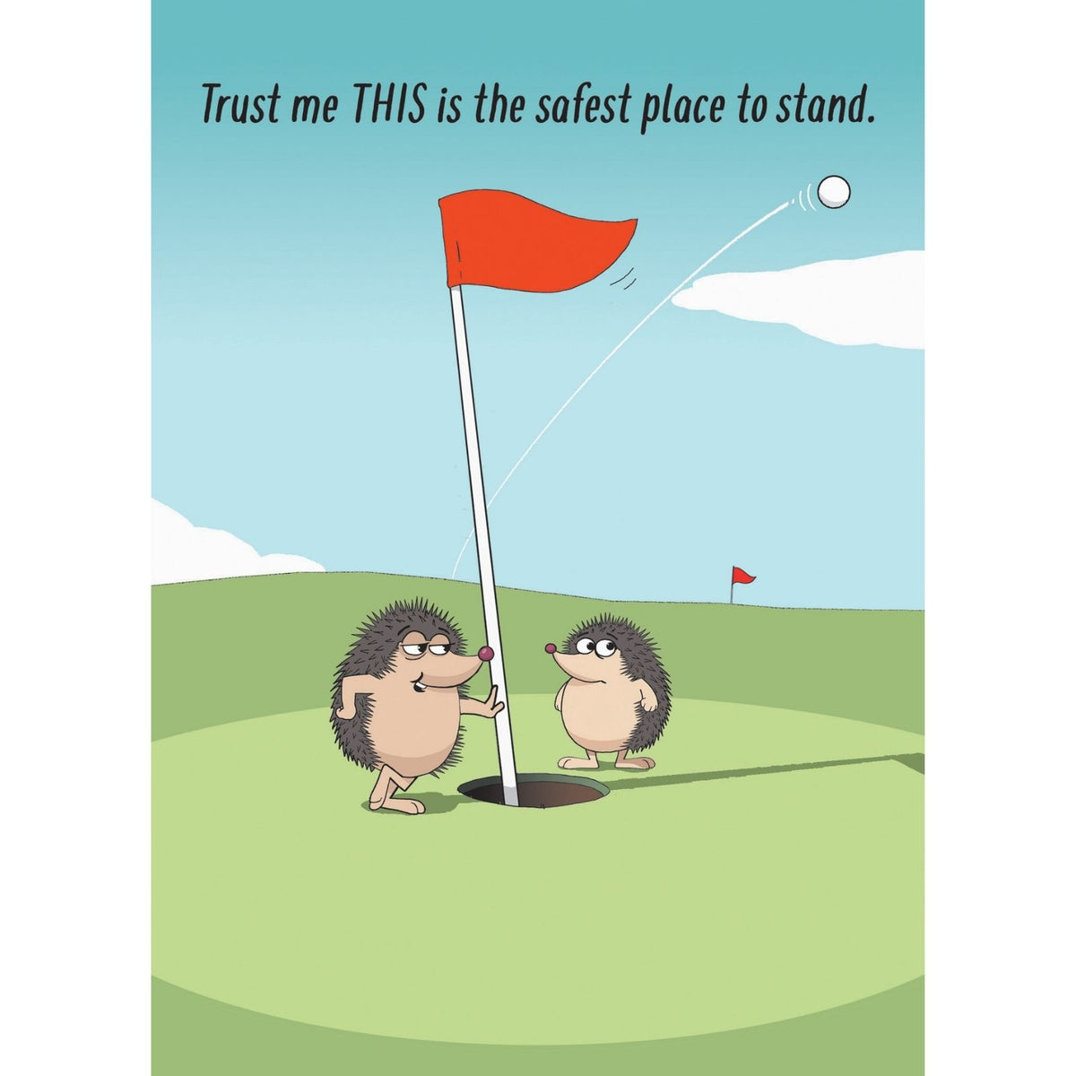 Funny Twizler Greeting Card Golf Hedgehogs Hole Birthday Or Any Occasion Humour