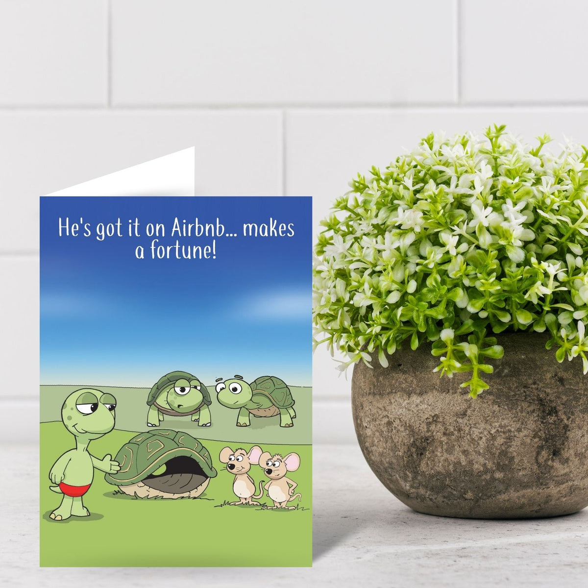 Funny Twizler Greeting Card Airbnb Tortoise Birthday Or Any Occasion Humour
