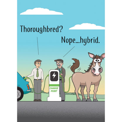 Funny Twizler Greeting Card Hybrid Donkey Birthday Or Any Occasion Humour