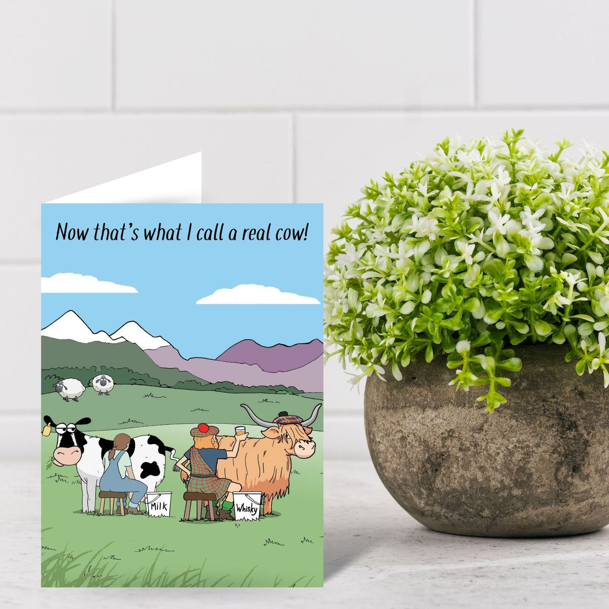 Funny Twizler Greeting Card Highland Cow Whisky Birthday Or Any Occasion Humour