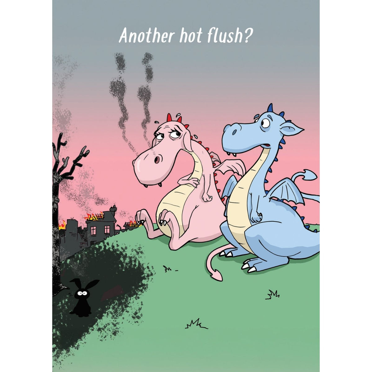 Funny Twizler Greeting Card Hot Flush Dragon Birthday Or Any Occasion Humour