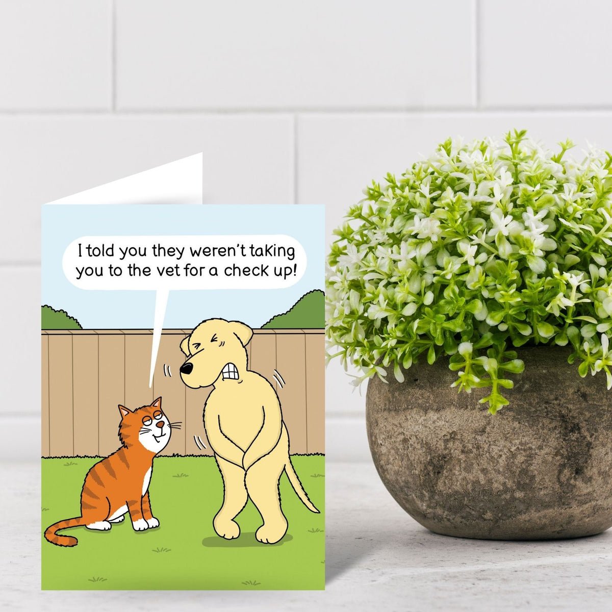 Funny Twizler Greeting Card Male Dog Vet Visit Birthday Or Any Occasion Humour