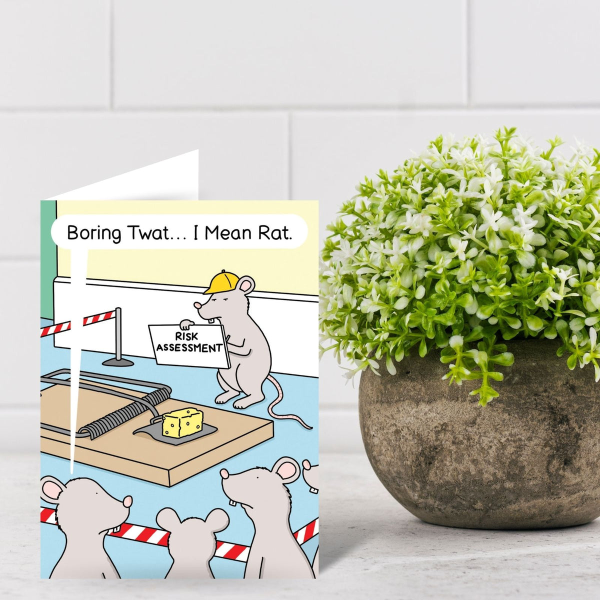 Funny Twizler Greeting Card Risk Assessment Rat Birthday Or Any Occasion Humour