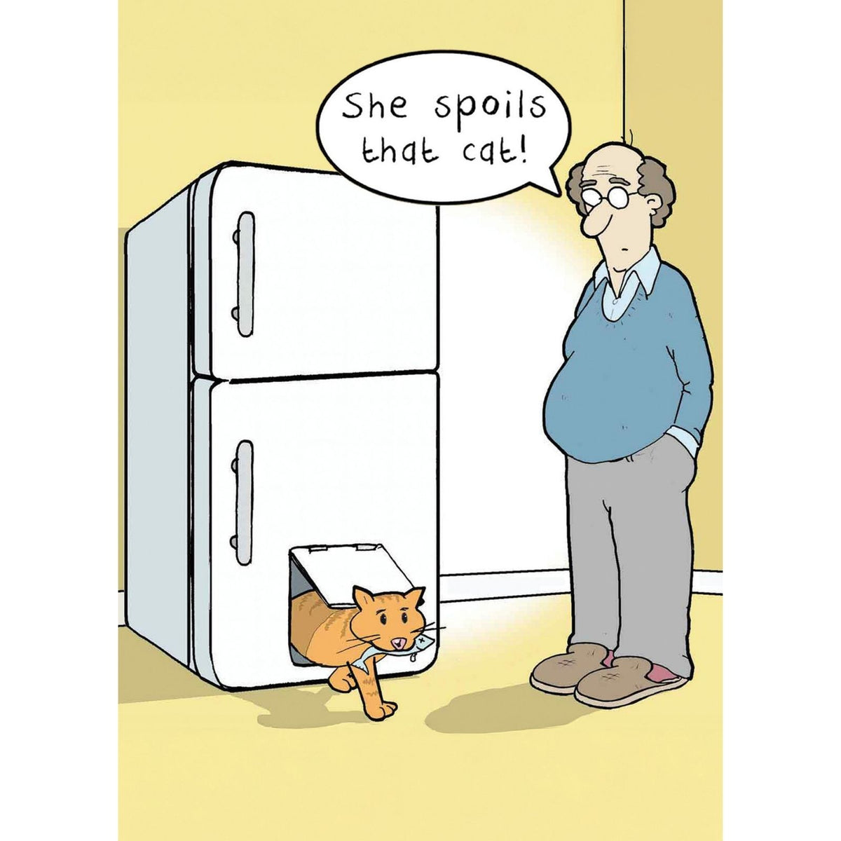 Funny Twizler Greeting Card Spoilt Cat Birthday Or Any Occasion Humour