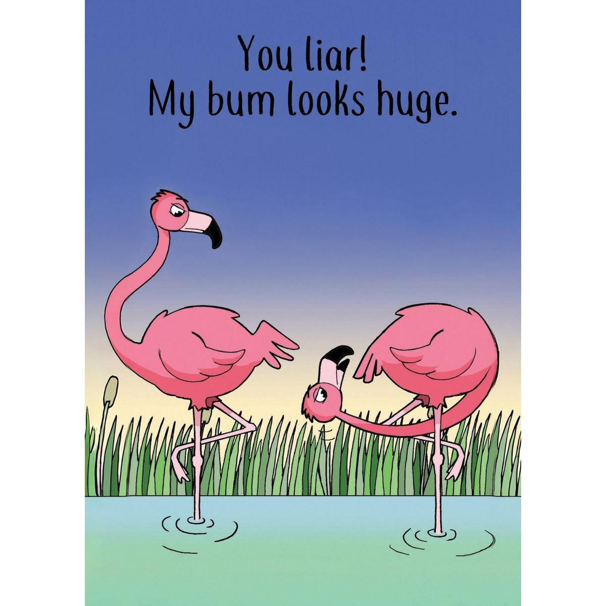 Funny Twizler Greeting Card Big Bum Flamingos Birthday Or Any Occasion Humour