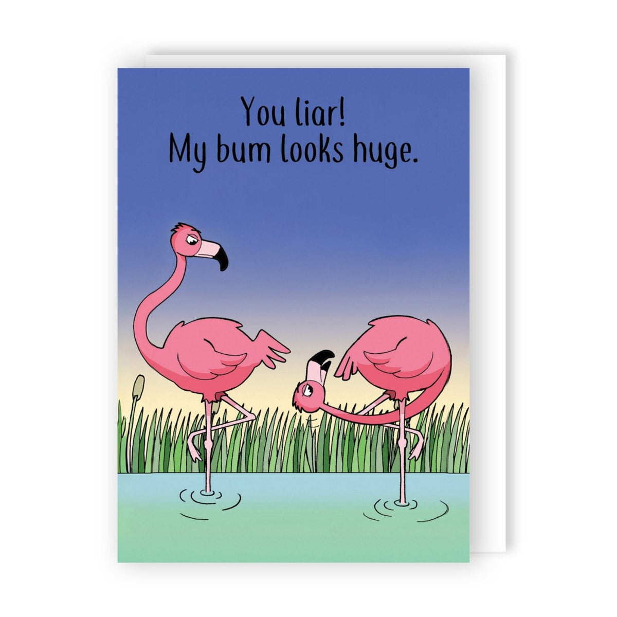 Funny Twizler Greeting Card Big Bum Flamingos Birthday Or Any Occasion Humour