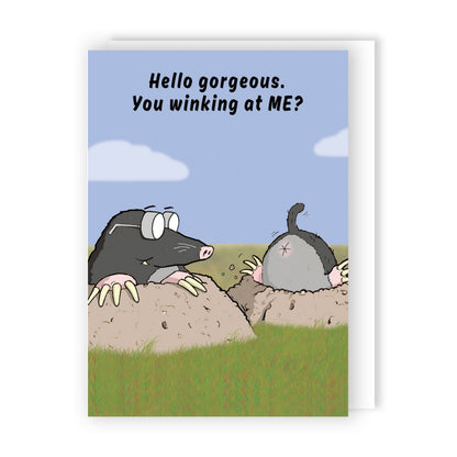 Funny Twizler Greeting Card You Winking At Me? Birthday Or Any Occasion Humour